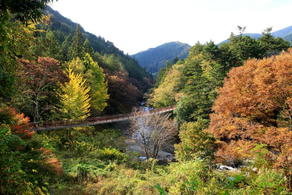 紅葉の石船橋（写真提供＝瀬音の湯）