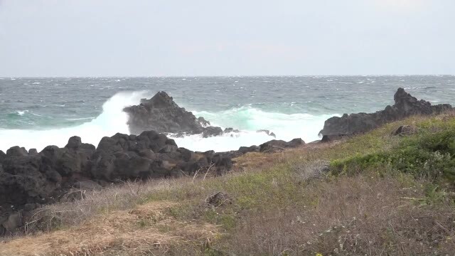 テレビ長崎