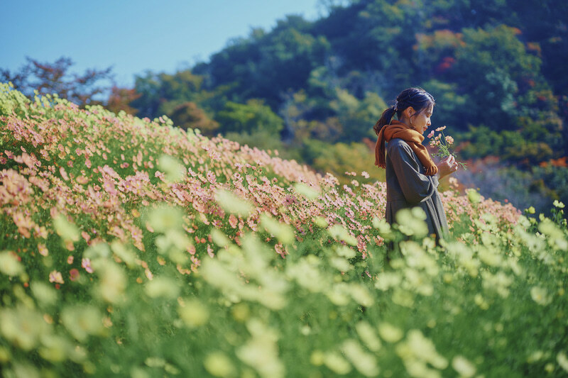 写真：デジカメ Watch