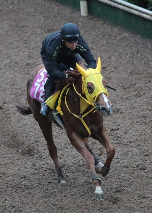 荒れた馬場にも前走で対応済みのハイファイスピード