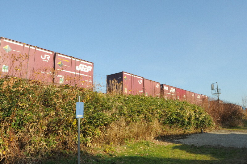 脱線したJR貨物の列車＝北海道森町で2024年11月16日午後1時43分、三沢邦彦撮影