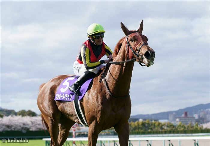 土曜京都デビュー予定のブラックソンソルトの姉・ラッキーライラック