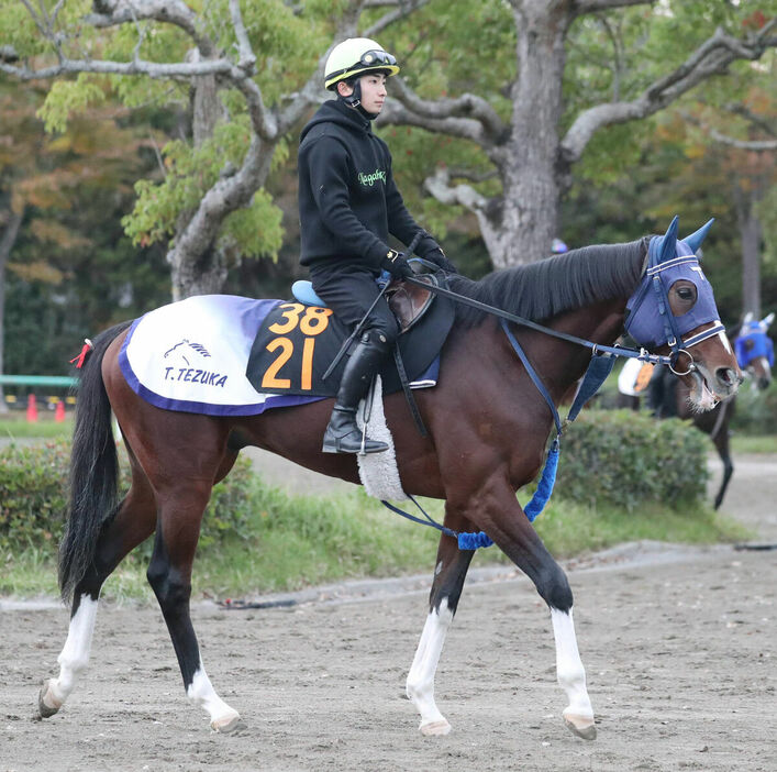 日曜の東京でデビュー戦を迎える良血レヴーズマン