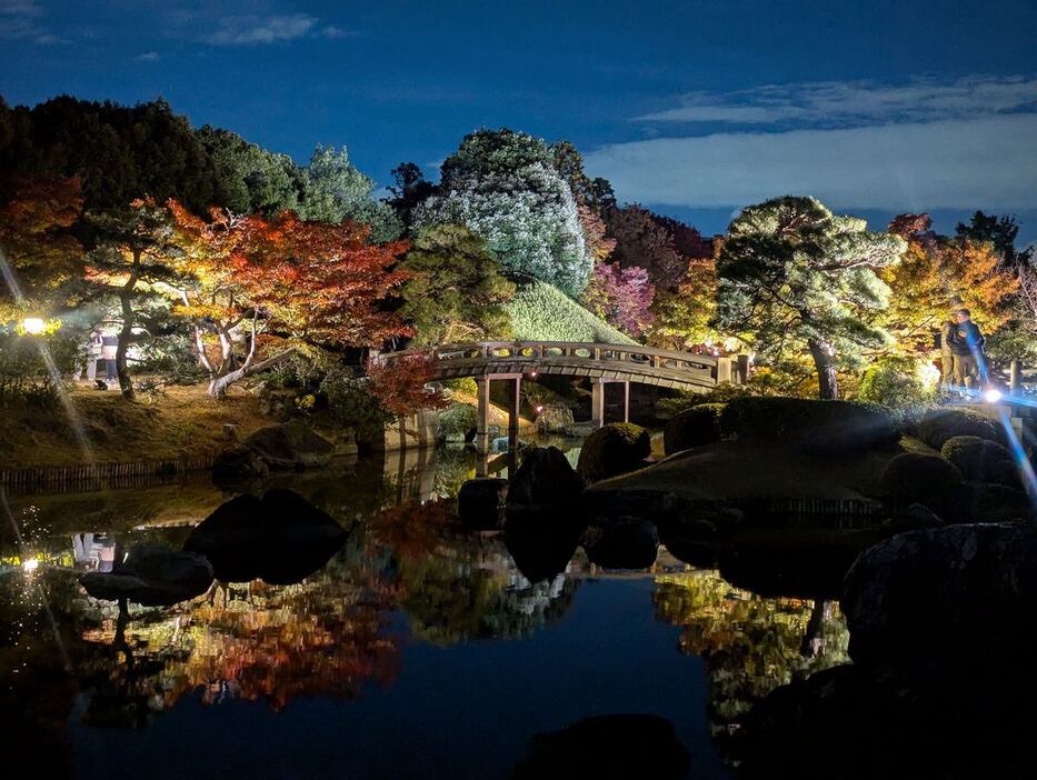 ライトアップされ、幻想的な雰囲気に包まれた大仙公園日本庭園