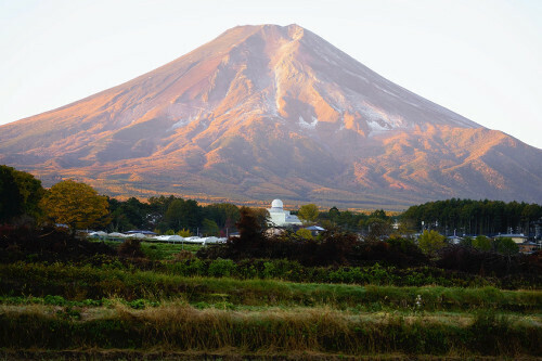 初冠雪が観測された富士山。朝日で赤く染まっている（７日午前６時２２分、山梨県富士吉田市で）