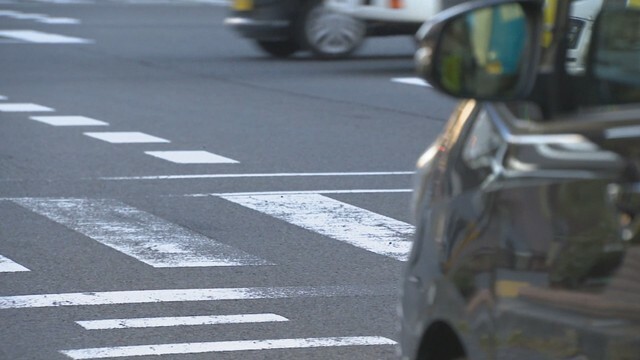 資料　横断歩道