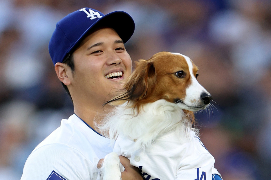 ドジャース 大谷翔平選手 ＆ 愛犬デコピン