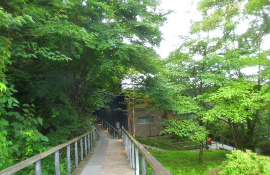 箱根の名湯をたたえた大浴場は、敷地の奥深くに佇む。木々の緑が映り込む露天風呂は、「もう出たくない、ここで暮らしたい！」とつぶやいてしまうほどの心地よさ