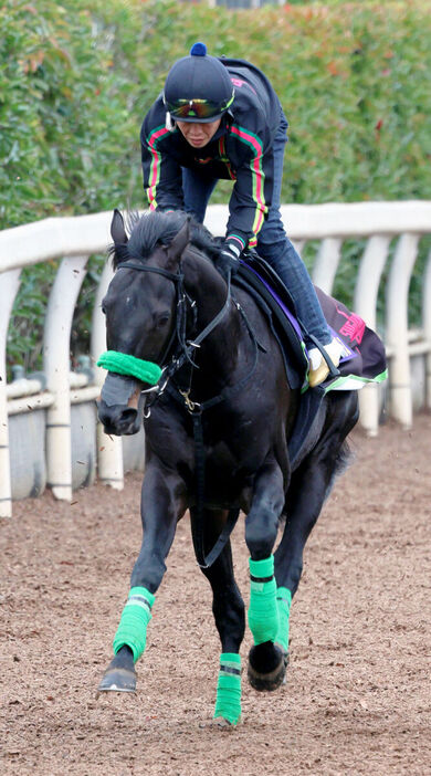 山下記者が激走を予感したジャスティンパレス