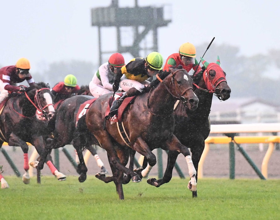 　京王杯２歳Ｓで２着したマイネルチケット（右）