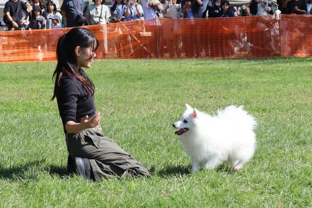 「10月13日に行ったDog Partyのイベントの写真です」（提供：ぽぽさん）