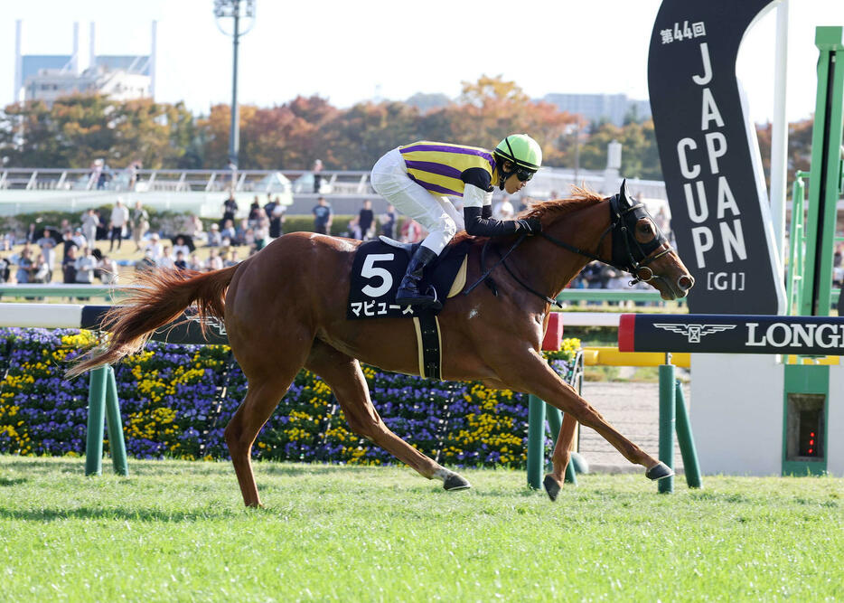 東京8R、赤松賞を制したマピュースと田辺騎手（撮影・鈴木正人）