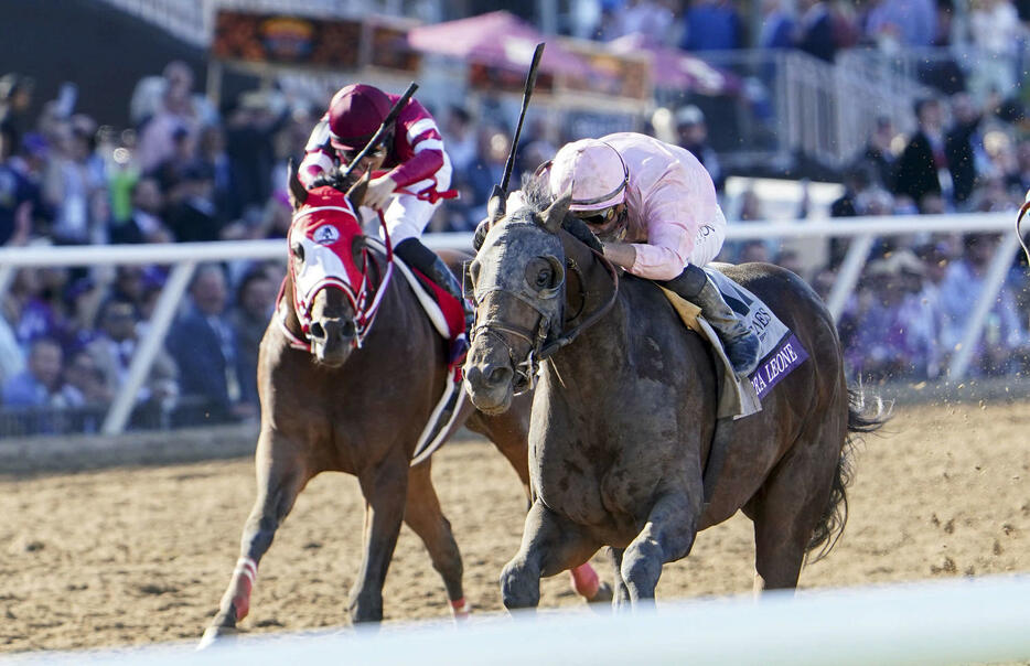 BCクラシックを制したシエラレオーネ（右）（C）Shamela Hanley／Eclipse Sportswire／Breeders Cup