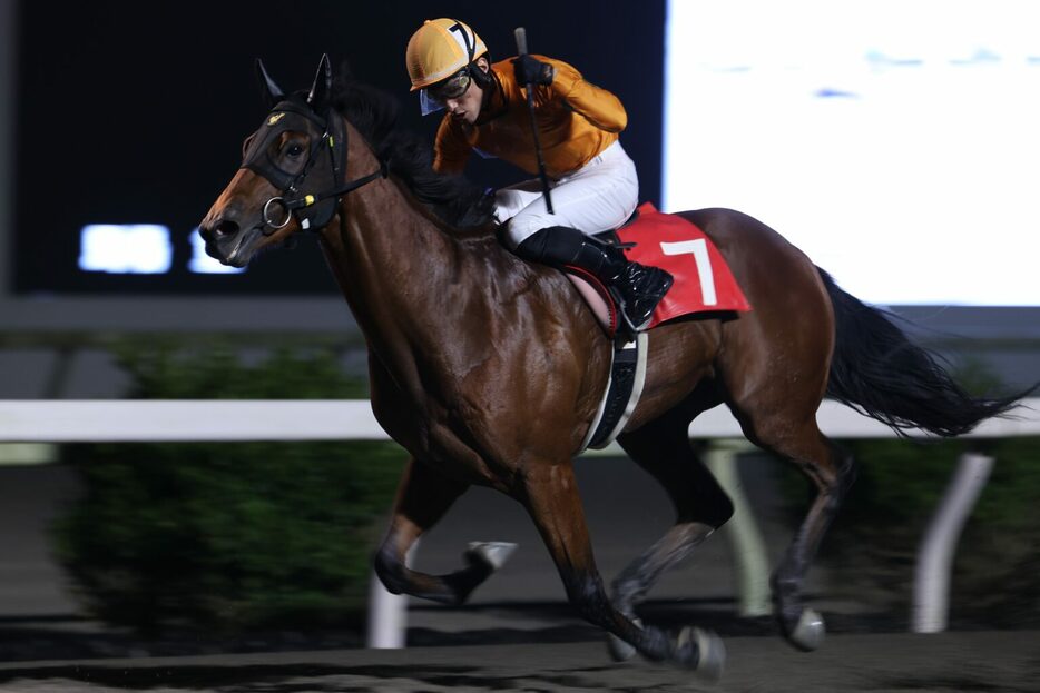 土佐寒蘭特別・ユラリユラメイテと岡村卓弥騎手 (C)高知県競馬組合