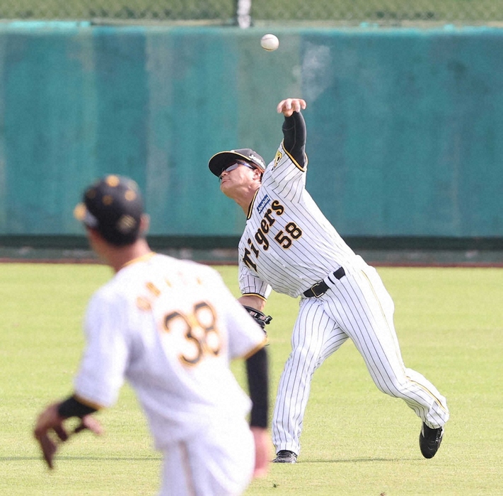 外野ノックで本塁へ直接送球する阪神・前川（撮影・椎名　航）