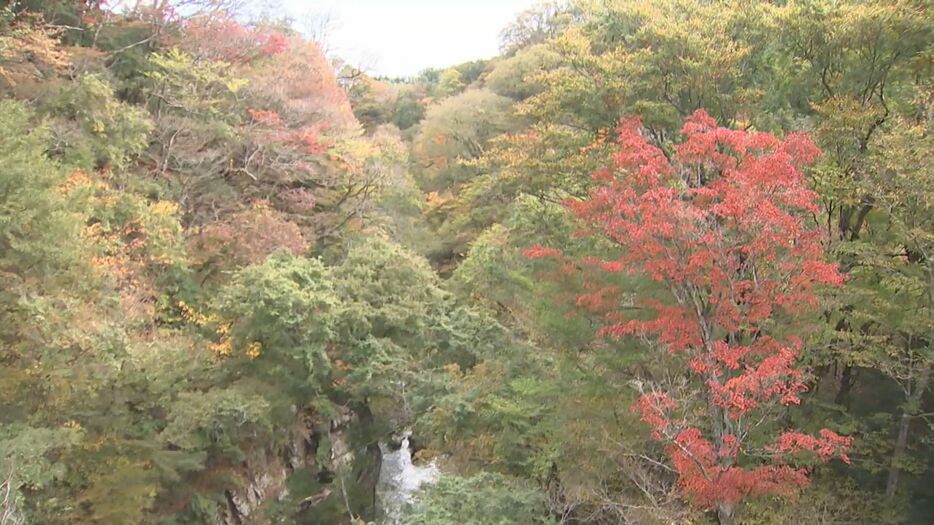 九重町・あまがたに渓谷