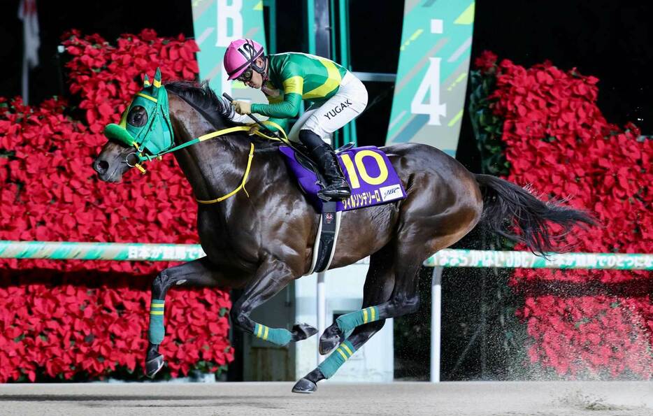 ＪＢＣクラシックを制したウィルソンテソーロ（佐賀競馬組合提供）