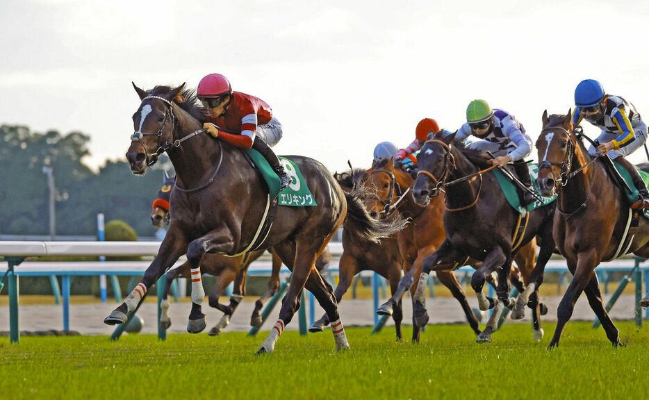 無傷の３連勝で京都２歳Ｓを制したエリキング（左）