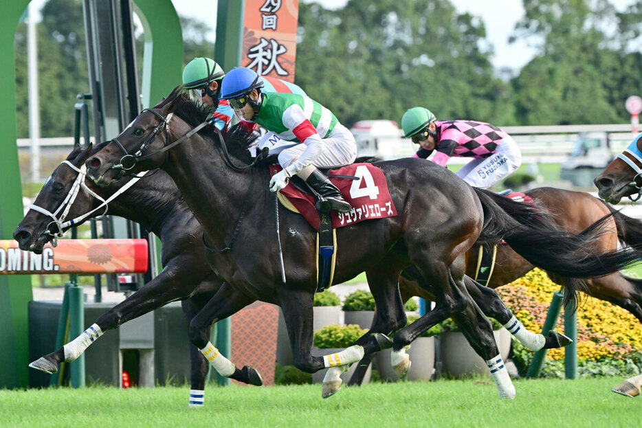 京都大賞典の勝ち馬シュヴァリエローズ