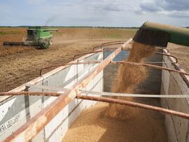 <p>American exporters sold 132,000 metric tons of soybeans to China in the 2024-25 marketing year. </p>