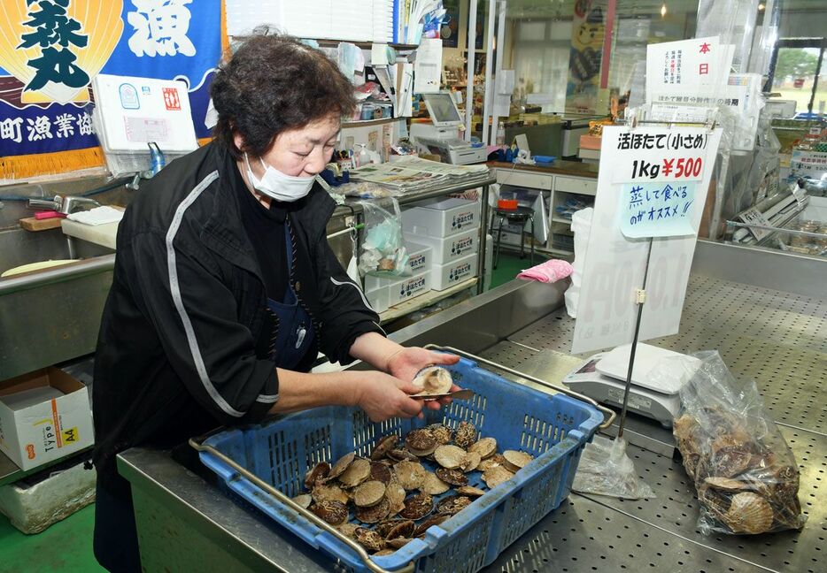 例年より小ぶりなホタテをさばく従業員＝22日、ほたて広場