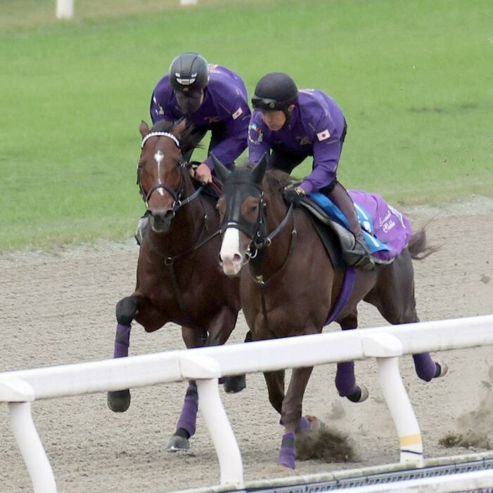 ドウデュース（左）＝栗東トレセン（撮影・安部光翁）