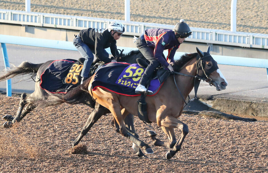 １週前追い切りを行ったチェルヴィニア（手前）はウィンターベルと併せ馬（カメラ・荒牧　徹）