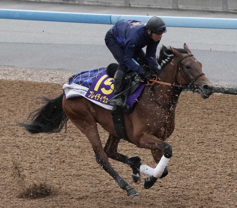 ウッドチップコースで追い切るブレイディヴェーグ（撮影・郡司修）