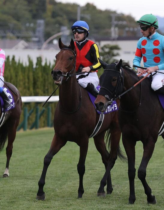 エリザベス女王杯で5着に敗れたレガレイラ＝京都競馬場（撮影・安部光翁）