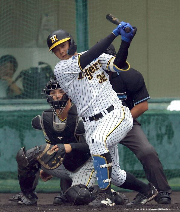 適時打を放つ阪神・井上広大＝安芸市営球場（撮影・水島啓輔)