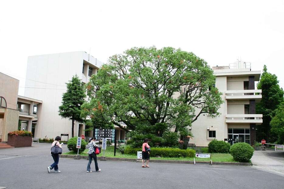 鹿児島県立短期大学＝鹿児島市下伊敷１丁目