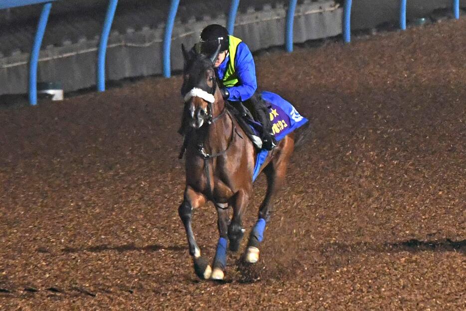 ステレンボッシュは夜明け前のウッドで２馬身先着