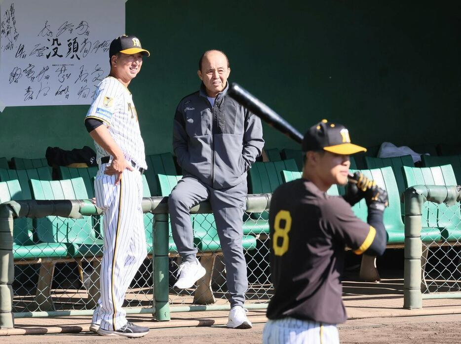 球場を訪れ藤川球児監督に迎えられる岡田彰布顧問。視線の先には佐藤輝明＝安芸市営球場（撮影・中島信生）