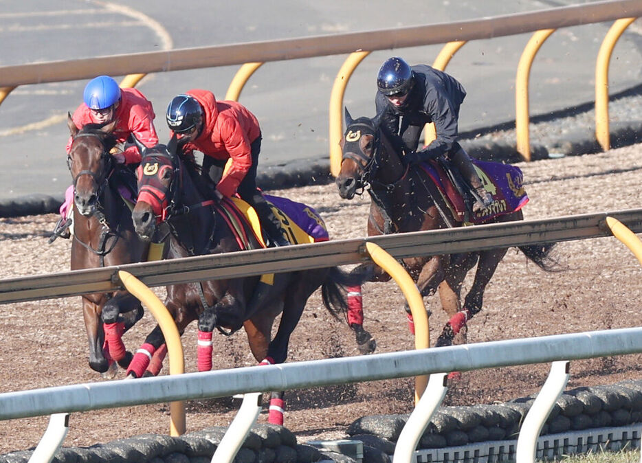 ３頭併せで追い切るカワキタマナレア（右）