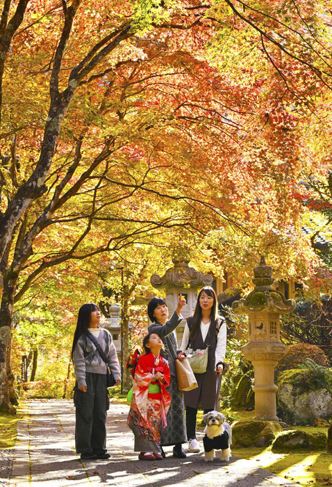 紅葉が鮮やかに色づいた参道を歩く家族連れ＝13日午前、棚倉町・山本不動尊