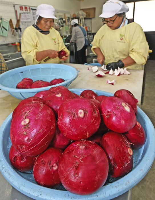 漬け込みを前に切りそろえられる色鮮やかな赤カブ＝静岡市葵区日向