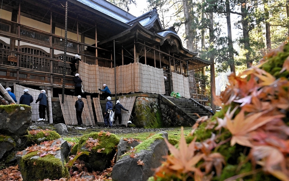 本格的な冬を前に雪囲いをする雲水ら＝11月25日、福井県永平寺町の大本山永平寺