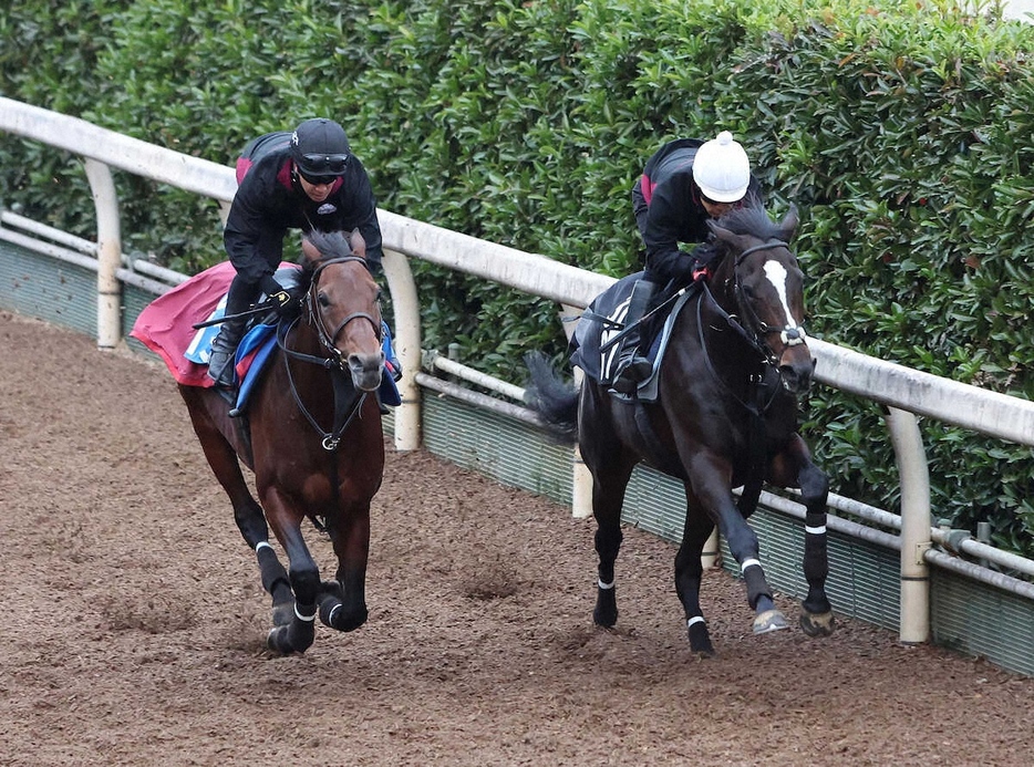 坂路をエスコーラ（左）と併せ馬で追い切るエリキング