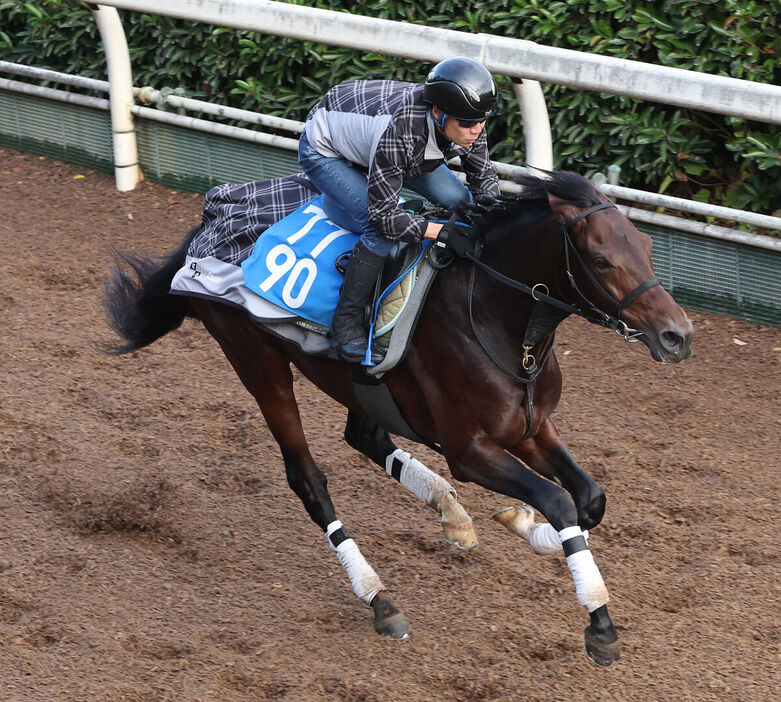 馬トク激走馬に算出されたマキシ