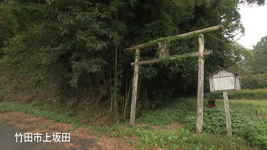 この鳥居の奥にモアイがあるそうだ