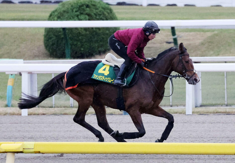 シュタインベルク師を背に東京競馬場のダートで調整するファンタスティックムーン（撮影・鈴木正人）