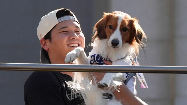 声援に応える愛犬・デコピンを見つめる大谷翔平選手【写真：AP/アフロ】