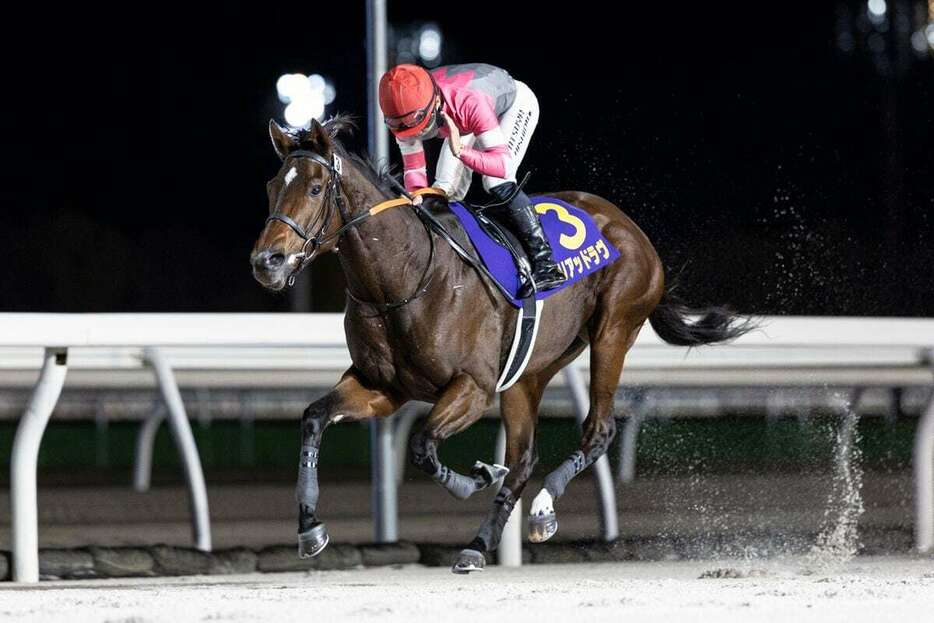 エーデルワイス賞を制したミリアッドラヴ＝門別競馬場