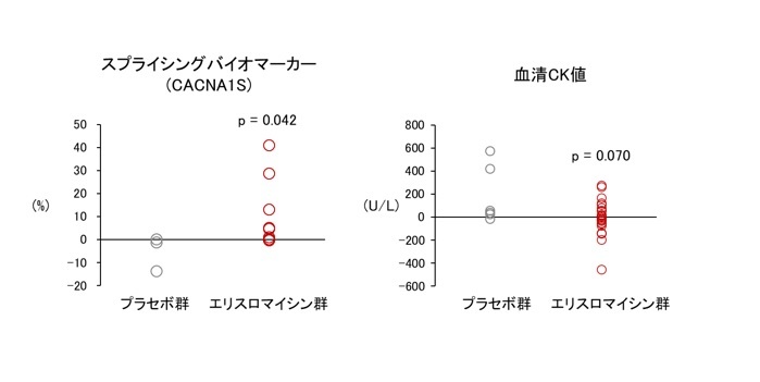 第Ⅱ相臨床試験の結果、エリスロマイシンの有効性が明らかに