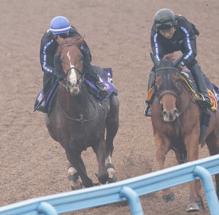 併せで追い切るミトノオー（左）（撮影・村上大輔）