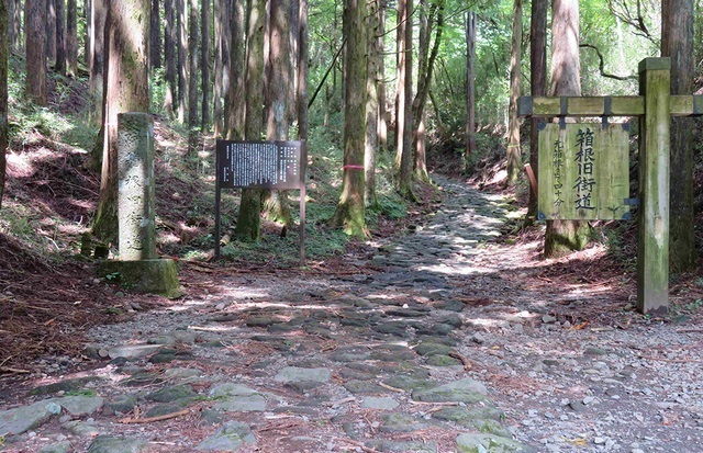 「箱根八里」の名前でも知られる箱根旧街道。ハイキングコースとしても人気。旧街道入口は甘酒茶屋、白水坂の間にある