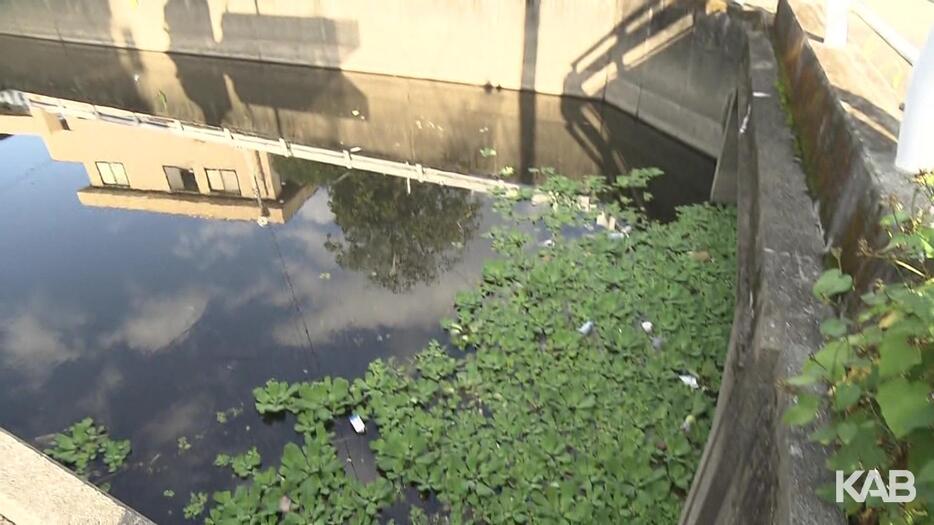 熊本市の住宅地の水路