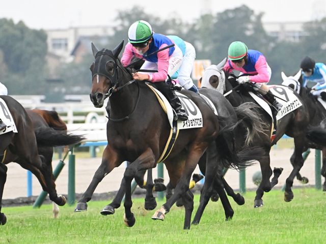 京都5R新馬戦を制したメイショウタマユラ(c)netkeiba