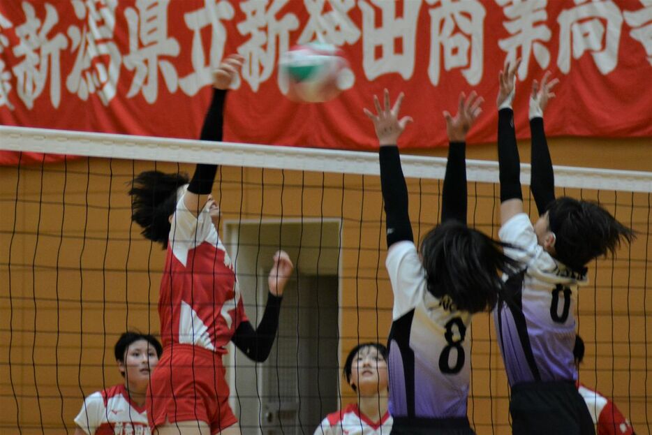 春高バレー新潟県予選の女子準決勝。新発田商はダブルエースの一人、渡辺（写真左）らの活躍で9年ぶりの決勝進出を決めた＝2日午後、新潟市東区（本田賢一撮影）