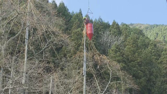 中京テレビNEWS